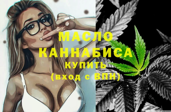 ECSTASY Бородино